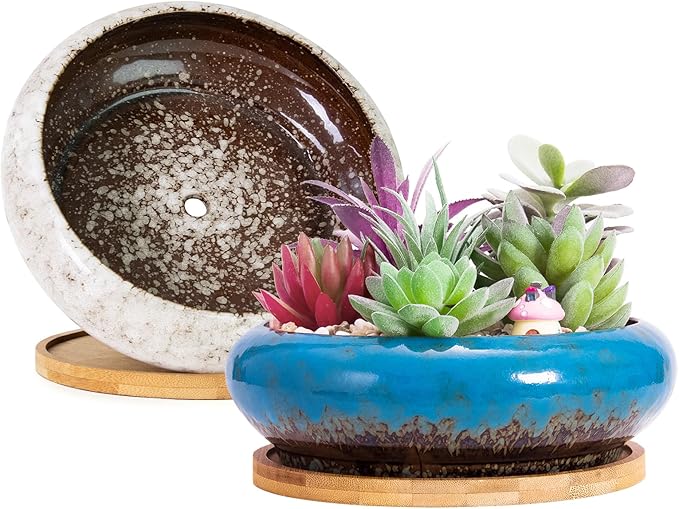 Succulent Pots - Large Succulent Planters with Drainage, 7.3 Inch Ceramic Bonsai Pots with Bamboo Tray Set of 2, Shallow Cactus Flower Planter Bowl for Indoor