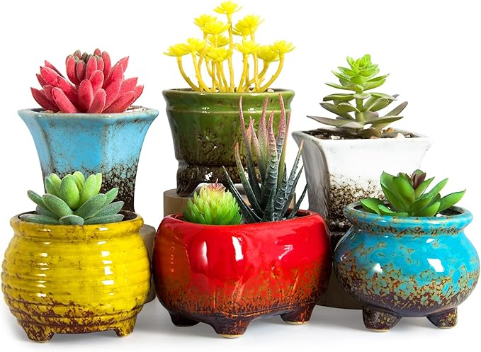 ARTKETTY Succulent Pots - Small Succulent Plant Pots with Drainage Set of 6, Ceramic Cactus Planter Pots for Indoor Unique Flower Planter Container for Home Office Decor