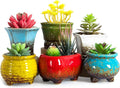 ARTKETTY Succulent Pots - Small Succulent Plant Pots with Drainage Set of 6, Ceramic Cactus Planter Pots for Indoor Unique Flower Planter Container for Home Office Decor