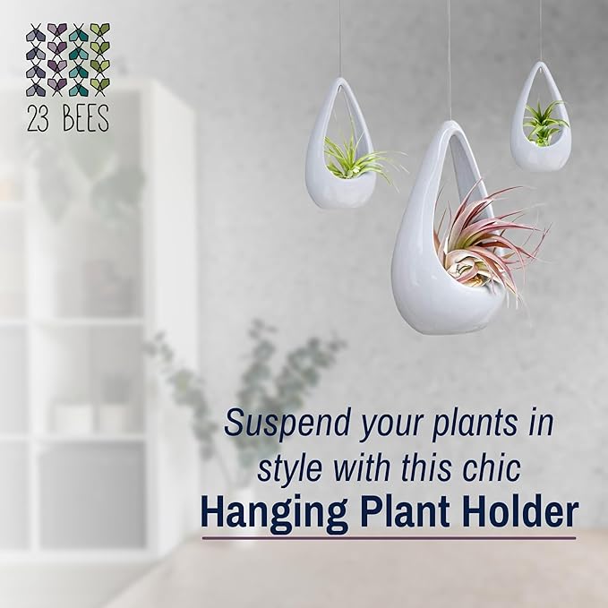 23 Bees, Hanging Air Plant Holder, White Hanger Ceramic Planter, Small Floating Succulent Pots Container, Cactus Holders with Metal Wire, 3 Pack