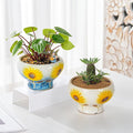 Sungmor Small Succulent Planters Set of 2, Beautiful Hand Crafted Ceramic Plant Pots Cute Cactus Pot, 6.5 Inch Flower Pots for Indoor Plants with Drainage, Desktop Windowsill Home Office Decor Pots