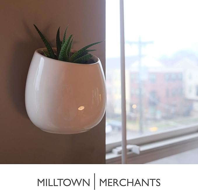 Milltown Merchants Succulent Wall Planters - Wall Vases - Black Ceramic Wall Mounted Planters - Succulent Plant Pots - Hanging Vases for Living Wall (2 Pack/Modern/White)