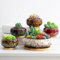 5 Pcs 7.3'' and 4'' Round Large Shallow Succulent Ceramic Planter Pots with Drainage Hole Drip Glazed Shallow Bonsai Pot with Bamboo Tray for Indoor Outdoor Plants Decor Cactus Flower