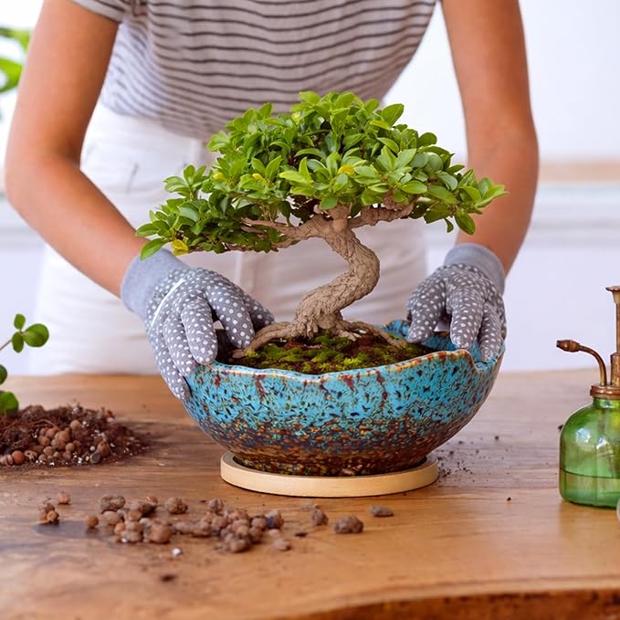 ARTKETTY Bonsai Pots - 9.06 Inch Large Plant Pots, Unique Succulent Pots with Drainage Tray, Ceramic Planters for Indoor Cactus Flower Plants Round Bonsai Tree Pots Decorative Home Office