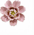 CEUYGT Handmade Ceramic Wall Flower Decor - Peony Home Wall Art, Perfect for Living Room, Bedroom, or Office Decoration Pink Peony 3.54"(Medium)