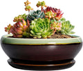 SQOWL Succulent Pots 6 Inch - Shallow Ceramic Planter, Bonsai Pot with Drainage Hole and Saucer, Round Ceramic Succulent Planter for Indoor Outdoor Plant, Kitchen Decor, Plant Lover Gift, Green-Brown