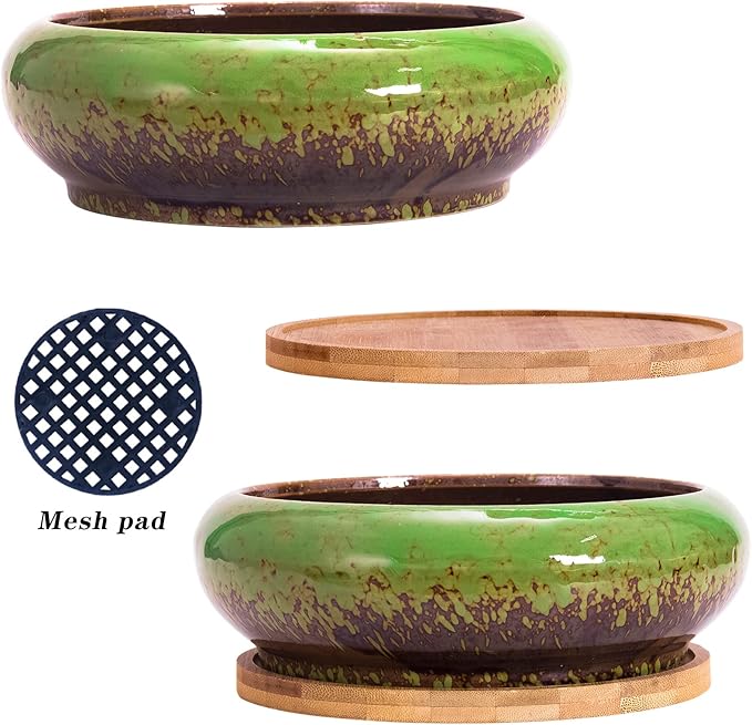 Succulent Pots with Drainage, 2 Pack Large Succulent Planters Ceramic Bonsai Pot with Trays, 7.3 Inch Round Shallow Planters for Indoor Cactus Flower Plants