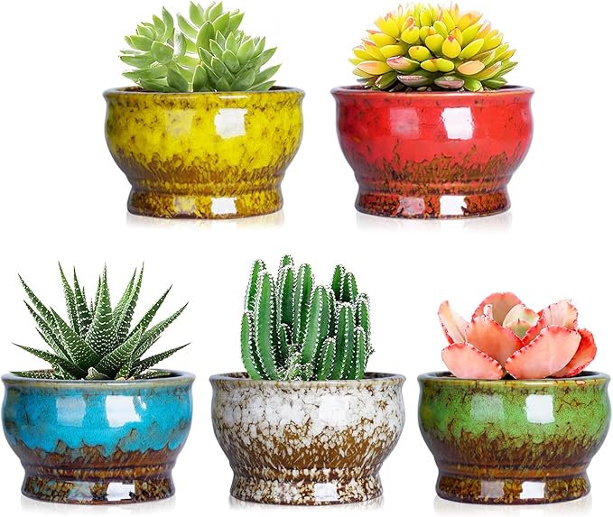 ARTKETTY Succulent Pots - 4.3 Inch Small Plant Pots with Drainage Set of 5, Ceramic Pots for Indoor Plants Glazed Cactus Flower Planter Container