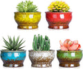 ARTKETTY Succulent Pots - 4.3 Inch Small Plant Pots with Drainage Set of 5, Ceramic Pots for Indoor Plants Glazed Cactus Flower Planter Container