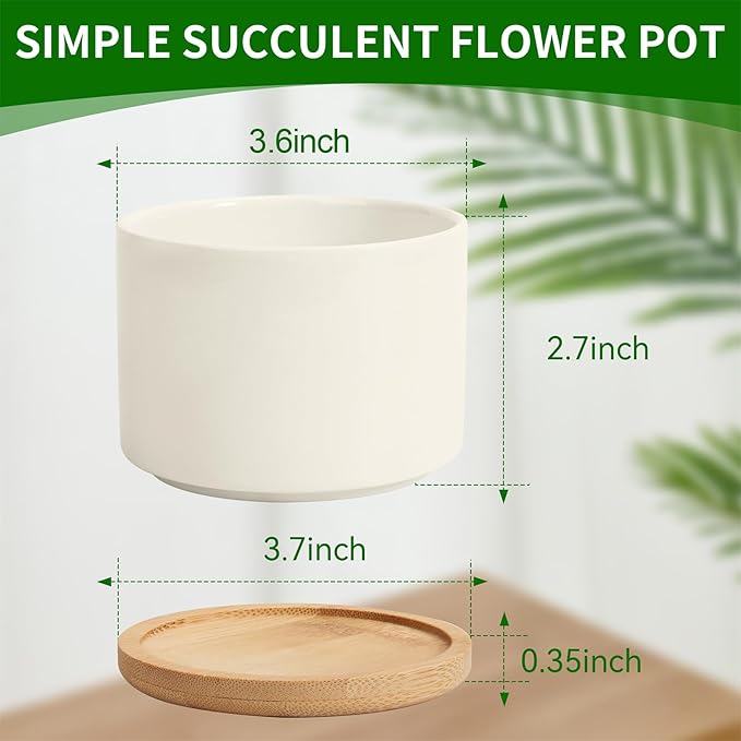 ZOUTOG 12 Pack Ceramic Succulent Pots,3.6 Inch Plant Pots,Succulent Planters with Drainage Hole & Bamboo Tray for Indoor Plants,White Small Flower Planters for Home,Office,Desk