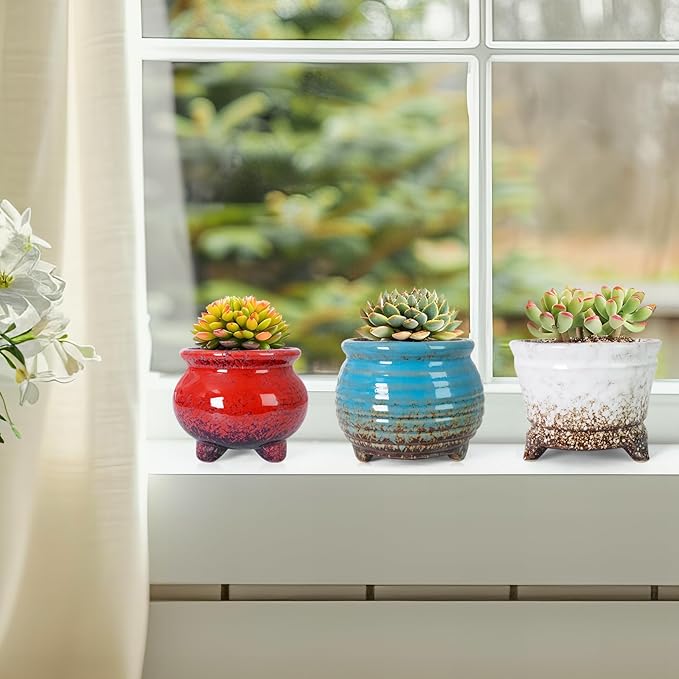 ARTKETTY Succulent Pots - Small Succulent Plant Pot with Drainage Pack of 6, Ceramic Cactus Planter Pots for Indoor Unique Flower Planter Container for Home Office Decor