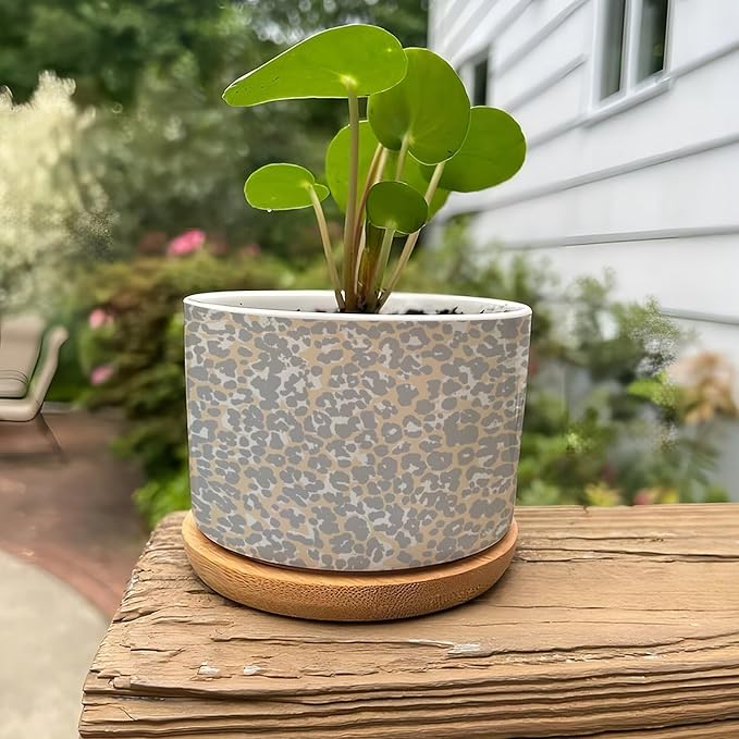 DreamAutumn Cheetah Leopard Print Animal Light Gray and Light Brown Ceramic Pots for Plants with Drainage Holes Round Flower Pot Bamboo Tray Orchid Pot Succulents Pots for Outdoor Indoor Plants