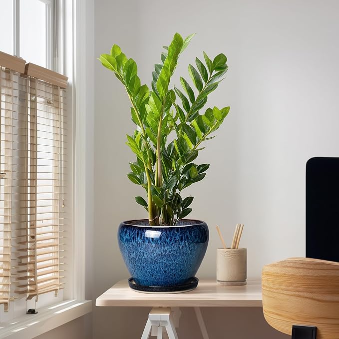 10 Inch Plant Pot - Ceramic Planter with Drainage Hole and Plant Saucer, Round Planter Indoor Outdoor, Modern Planters, Large Flower Pot, Home Room Office Decor, Housewarming Gifts, Blue