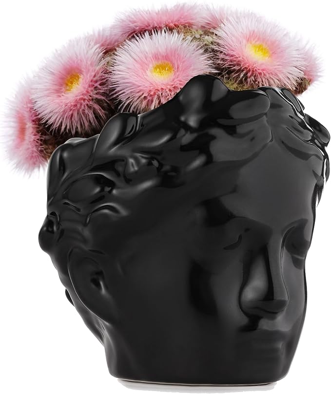 Small Head Planter - Ceramic Face Planter Pots for Indoor Plants, Cute Funny Succulent Pot with Drainage Hole, Unique Gift, 3.9"