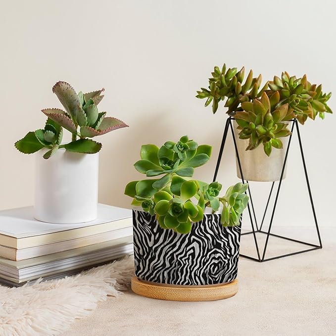 in Beige Planter Ceramic Black White Zebra Print Round Flower Pots with Drainage Holes and Bamboo Tray Pot for Home Office Decoration