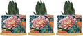Bright and Chinoiserie Planters Ceramic Coral Peony Floral Round Plant Pot with Drainage Holes and Bamboo Tray Pot for Home Office Decoration