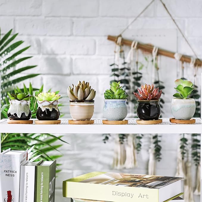 Remerry 18 Pcs Small Succulent Pots Bulk with Drainage 2.5 Inch Assorted Mini Ceramic Succulent Planters Pot with Coaster Bamboo Plant Tray Planting Pots for Home Office Garden