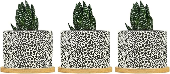 Leopard Print Planters Ceramic African Animal Stripe Round Flower Pot with Drainage Holes and Bamboo Tray Pot for Home Office Desk Garden