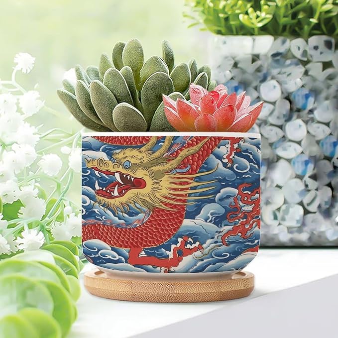 3 Piece Ceramics Planters Red and Auqa Dragon Small Succulents Pots Chinoiserie Dragon Cactus Pot Chinoiserie Asian Plant Pot with Drainage Holes and Bamboo Tray