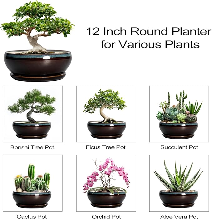 SQOWL Bonsai Planter 12 Inch - Ceramic Succulent Pots Large, Round Shallow Plant Pots Indoor with Drainage Hole and Saucer, Bowl Planter Outdoor for Flower, Room Decor, Housewarming Gifts, Blue-Brown