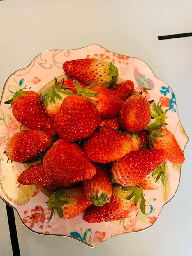 Bone China Dessert Plate/Salad Plate Ceramic Plate for Breakfast Afternoon Tea- Butterfly Pattern (Pink (7.5inches Salad Plate))