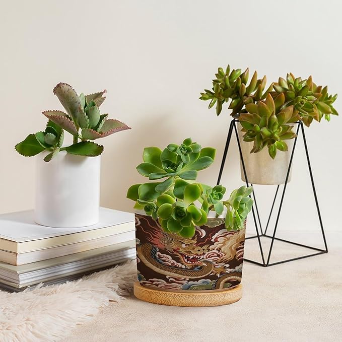 Chiang Dragon Planter Ceramic Chinoiserie Asian Round Plant Pots with Drainage Holes and Bamboo Tray Pot for Pots Outdoor Indoor Plants