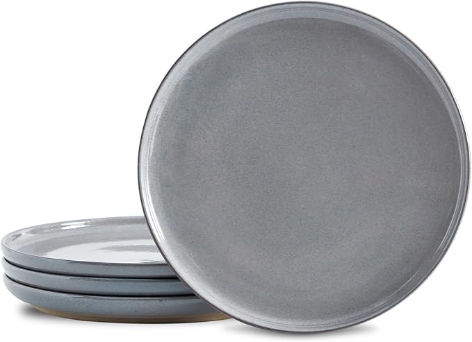HASENSE Ceramic Dessert Plates Set – 8 Inch Premium Proclaim Dishes, 4 Piece Gray Plates Set Ideal for Serving Dessert, Snack or Vegetable, Dishwasher Safe and Microwave Safe for Daily Dining