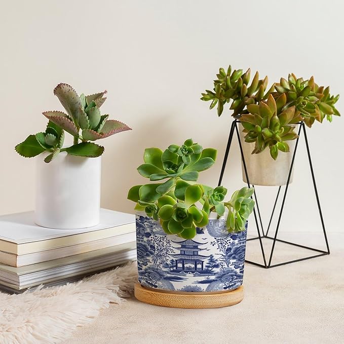 Chinoiserie Blue Asian Planters Ceramic Chinoiserie Chic Asian Round Plant Pots with Drainage Holes and Bamboo Tray Pot for Succulents Cactus Garden Windowsill