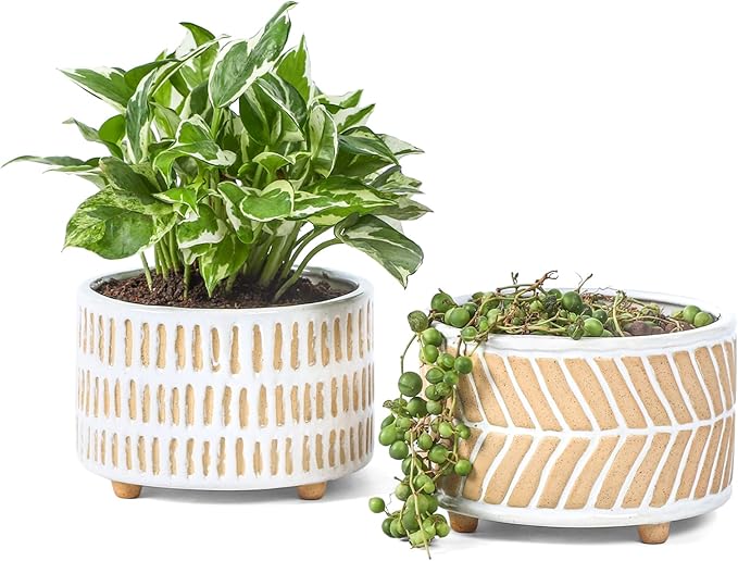 Succulent Pots, 6 Inch Planters with Drainage Hole, Modern Indoor Plant Pots for Succulents, Herbs, Aloe, Snake Plant - Ceramic Home Décor, Set of 2