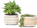 Succulent Pots, 6 Inch Planters with Drainage Hole, Modern Indoor Plant Pots for Succulents, Herbs, Aloe, Snake Plant - Ceramic Home Décor, Set of 2