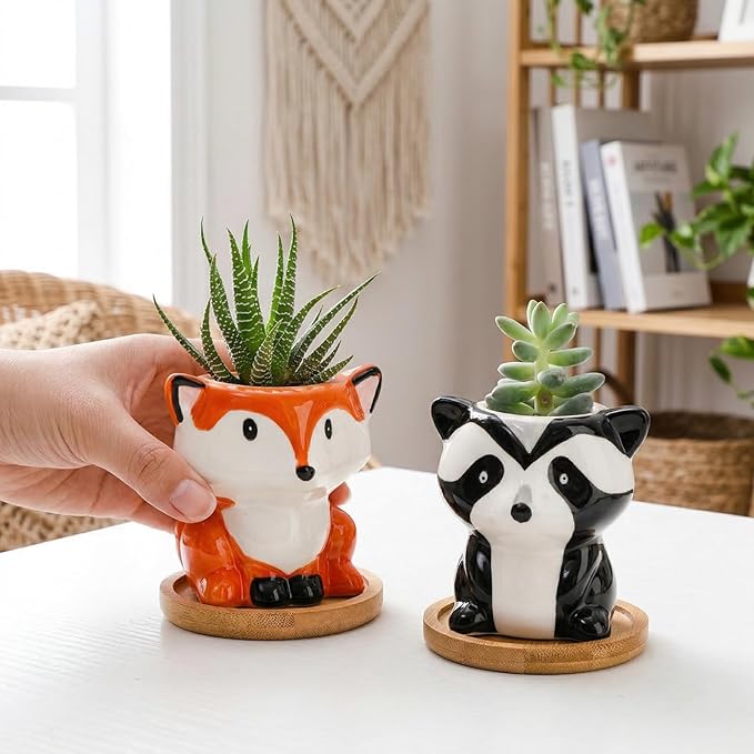 6 Pack Small Succulent Pots with Drainage Hole, 3 Inch Cute Ceramic Animal Planter with Saucer, Unique Air Plant Holder, Desktop Plant Flower Pot for Indoor Plants, Cactus, Garden, Home Decor