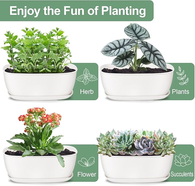 Set of 8 White Oval Shallow Herb Garden Planters with Drainage Holes and Trays (8.66 Inch) Plant Pots for Herbs Basil Orchids Succulents, Modern Herb Garden Planter for Indoor/Outdoor Plants