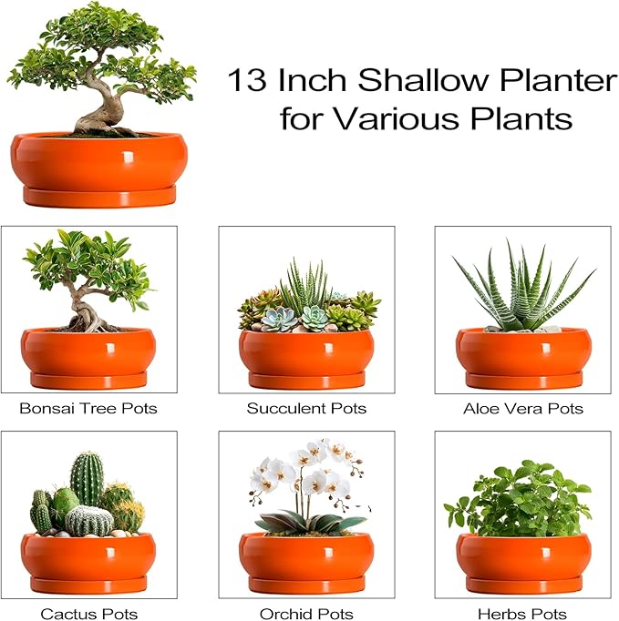 Bonsai Pots - 13 Inch Ceramic Succulent Pots with Drainage Hole and Saucer, Shallow Planter for Indoor Outdoor, Bonsai Planters, Large Planter Bowl, Porch Decor, Gift for Plant Lover, Orange