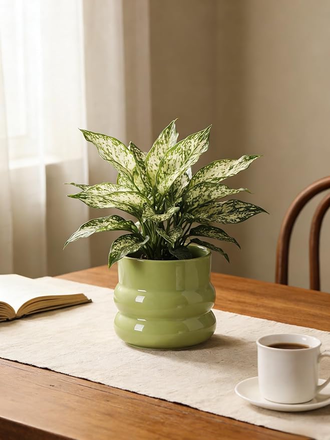 6 Inch Plant Pot,Ceramic Planter Pot with Drainage Hole,Indoor Planters for Herbs Plants,Ceramic Flower Pots for Indoor/Outdoor Plants,Home Office Garden Décor,Green