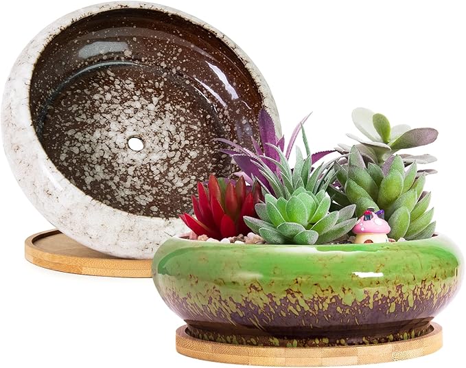 Succulent Pots with Drainage, 2 Pack Large Succulent Planters Ceramic Bonsai Pot with Trays, 7.3 Inch Round Shallow Planters for Indoor Cactus Flower Plants