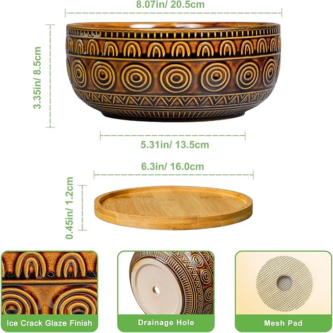 Bonsai Pots 8 Inch - Ceramic Succulent Planters for Indoor Plants, Shallow Plant Pots with Drainage Hole and Saucer, Boho Round Planter Bowl, Office Decor, Brown