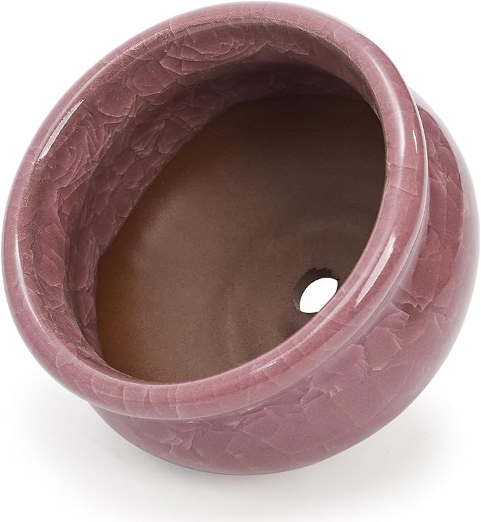 Okllen Set of 6 Small Succulent Pots, Ceramic Succulent Planters Stylish Crackle Glaze Design with Drainage Holes for Indoor/Outdoor Small Plants, Plants Not Included