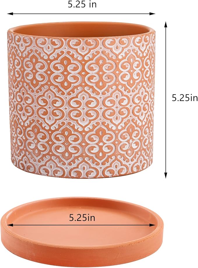 Frcctre 2 Pack Terracotta Pots for Plants, 5 Inch Succulent Planter Pot with Drainage Hole and Saucer, Clay Pottery Pots for Indoor Plants, Cactus, Succulent, Herbs