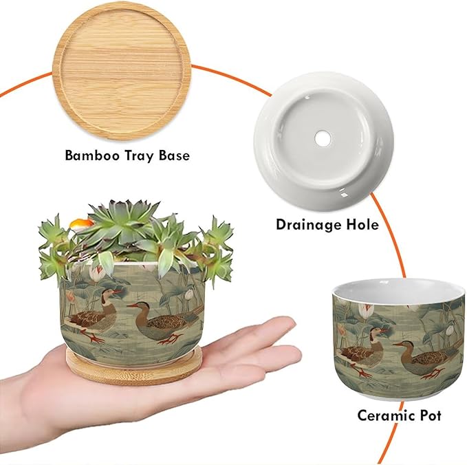 and Duck Garden Small Ceramics Planters Set of 1 Green Water Lily Chinoiserie Flower Ceramics Plant Pot with Drainage Holes and Bamboo Tray Chinoiserie Chic Planter for Succulents