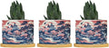 Pink Blue Chinoiserie Ceramic Planter Coral Chinoiserie Chic Asian Planters for Indoor Plants with Drainage Holes and Saucers Pot for Home Office Decoration