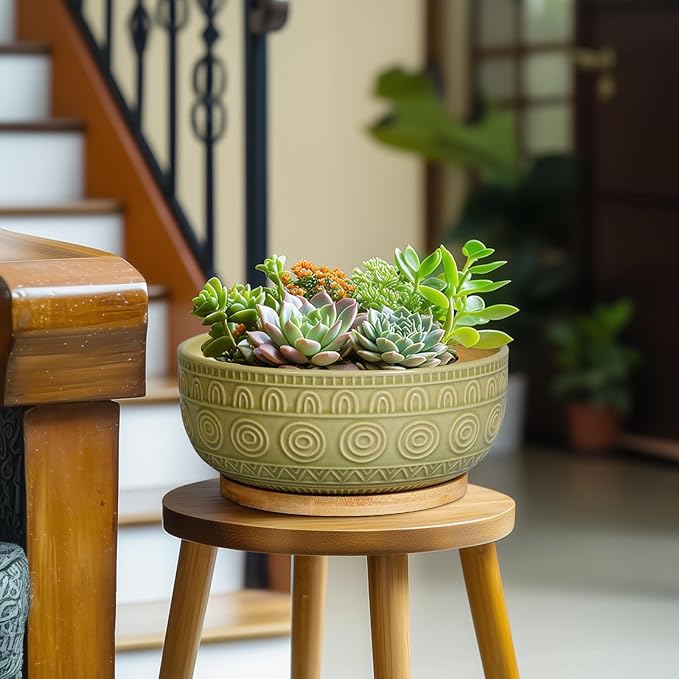 Bonsai Pots - 8 Inch Ceramic Succulent Pots with Drainage Hole and Saucer, Shallow Round Planter for Indoor Plants, Boho Bowl Planter, Room Decor, Green