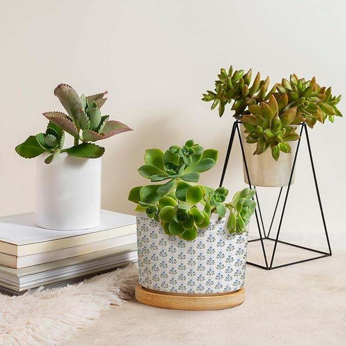 Blue Floral Ceramic Planters Mughal Flower Pots for Plants with Drainage Holes and Saucers Pot for Indoor Outdoor Garden