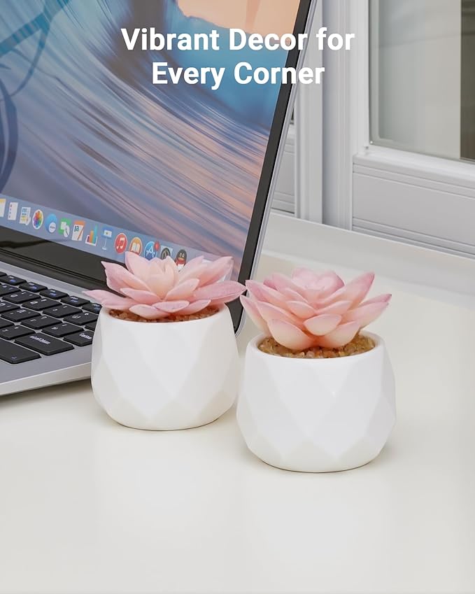 VIVERIE Mini Succulents Plants Artificial in Pots-Rose Pink, Christmas Small Fake Succulents Plants for Home Decor Indoor for Women, White Ceramic Faux Succulents, Set of 2, Gifts for Mom