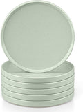 Herogo 6 Piece 7.9 Inch Dinner Plates Set, Small Salad Dessert Plate Set, Microwave Safe Stoneware Dinnerware for Serving, Oven & Dishwasher Safe, Speckled Light Green