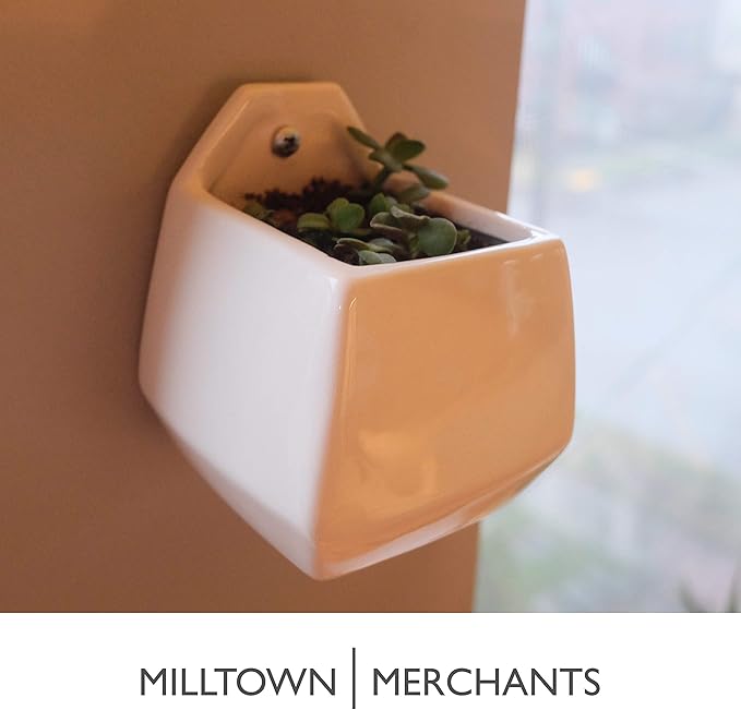 Milltown Merchants Succulent Wall Planters - Wall Vases - Black Ceramic Wall Mounted Planters - Succulent Plant Pots - Hanging Vases for Living Wall (2 Pack/Contemporary/White)