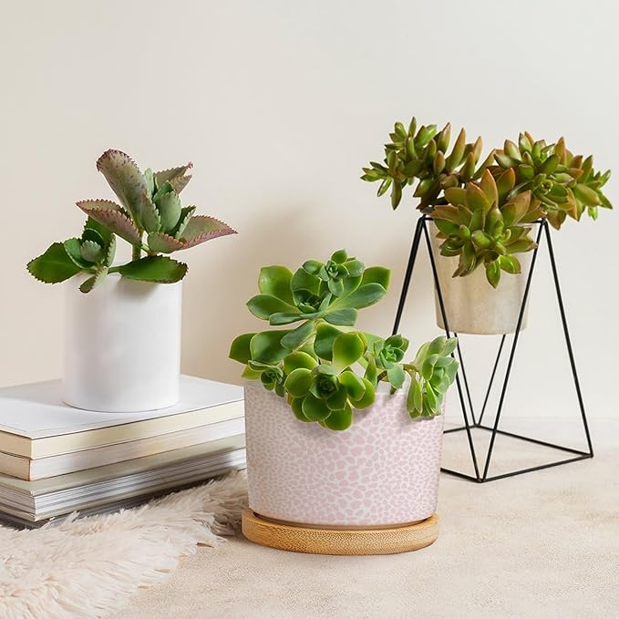 Pink Leopard Print Ceramic Planters African Animal Stripe Snake Plant Live Indoor with Pot with Drainage Holes and Saucers Pot for Home Desktop Office Windowsill