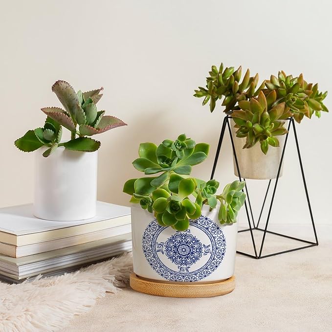 Planters Ceramic Chinese Style Blue And White Porcelain Print Ceramic Pots with Drainage Holes Round Flowerpot Bamboo Tray Plant Pots for Succuelnt And Little Snake Plants Pots for Nana Grandma