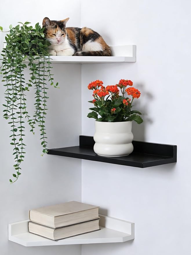 6 Inch Plant Pot,Ceramic Planter Pot with Drainage Hole,Indoor Planters for Herbs Plants,Ceramic Flower Pots for Indoor/Outdoor Plants,Home Office Garden Décor,Cream White