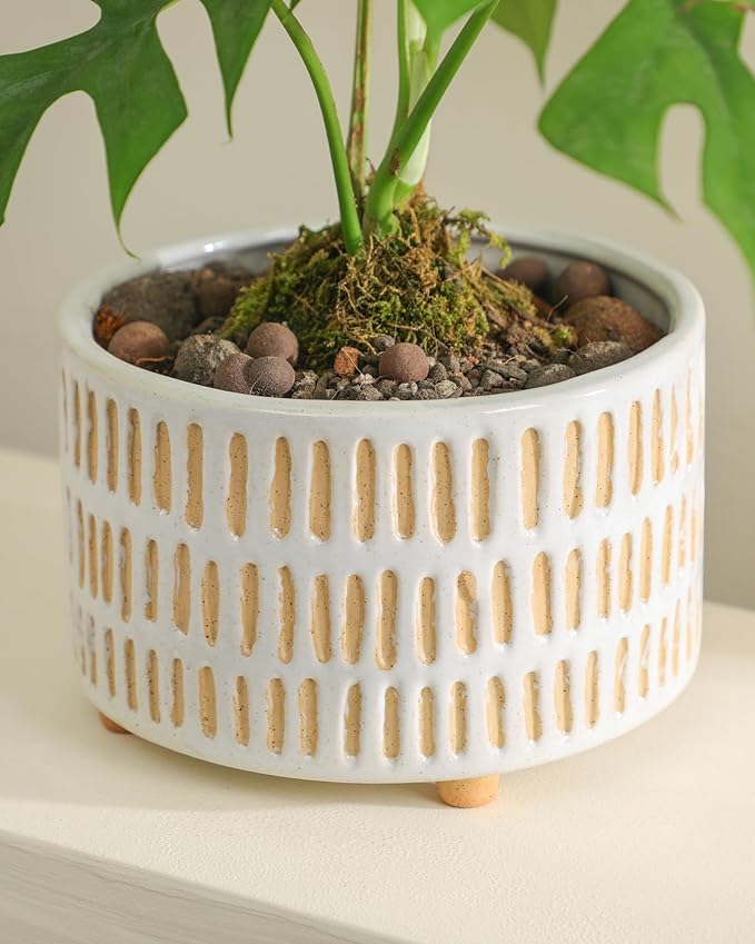 Succulent Pots, 6 Inch Planters with Drainage Hole, Modern Indoor Plant Pots for Succulents, Herbs, Aloe, Snake Plant - Ceramic Home Décor, Set of 2