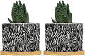 in Beige Ceramic Planters Black White Zebra Print Planters for Indoor Plants with Drainage Holes and Saucers Pot for Succulents Cactus Garden Windowsill